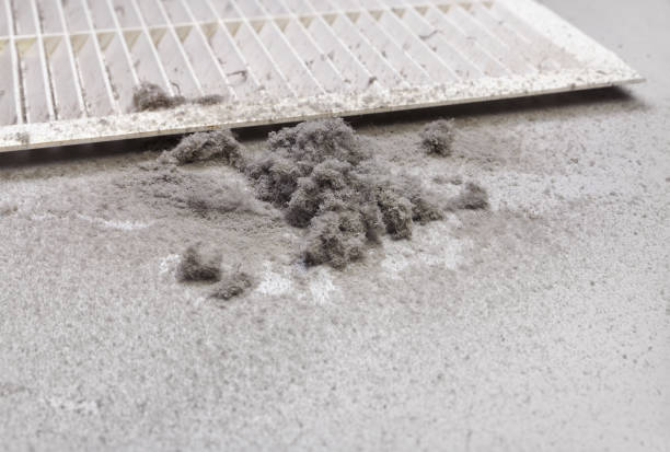 Best Residential Air Duct Cleaning  in Greenwood, SC