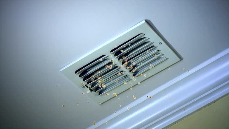 Best Commercial HVAC Duct Cleaning  in Greenwood, SC