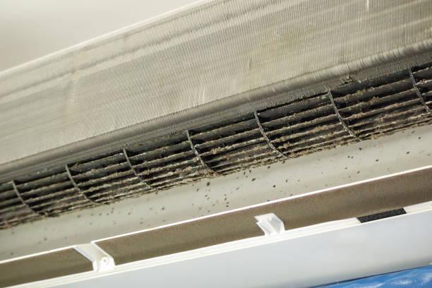 Best Duct Cleaning for Offices  in Greenwood, SC
